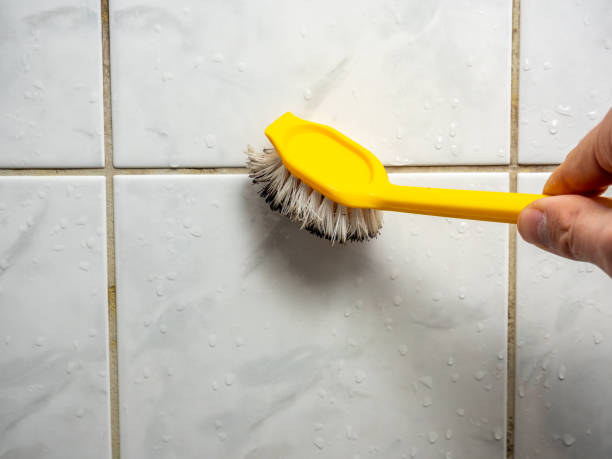 Best Emergency Mold Remediation in Willowbrook, CA